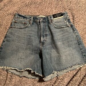 Curve Love High Rise Dad Short